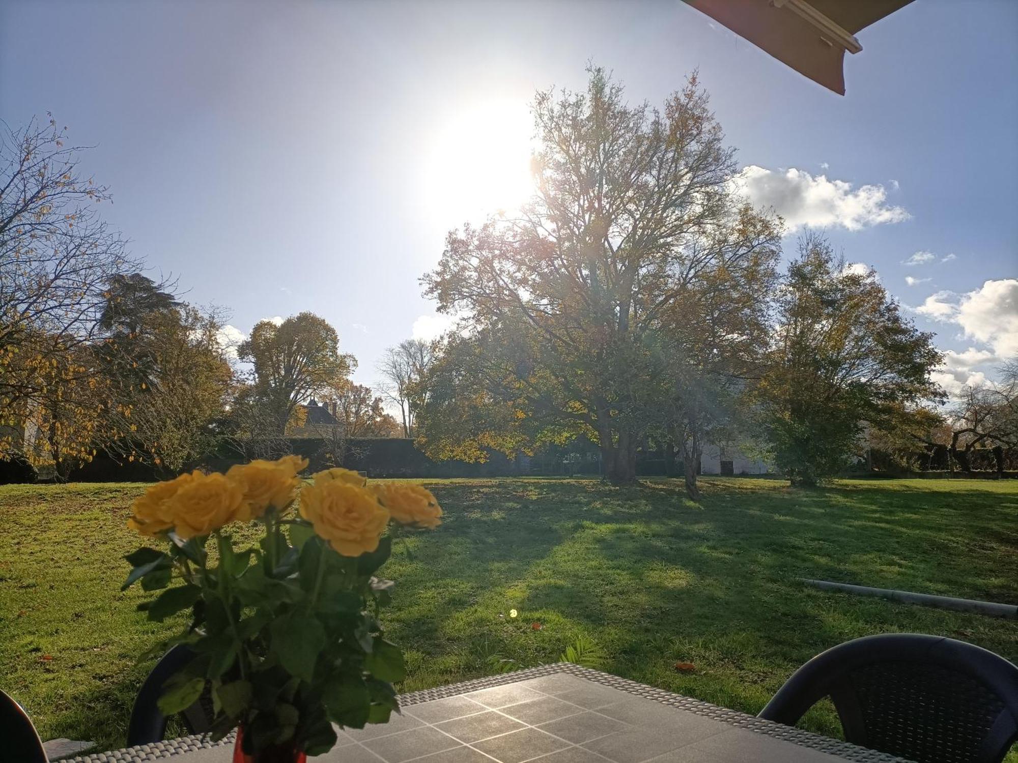 Gite Climatise Villa Esperanza 2 A 5 Personnes Valençay Buitenkant foto
