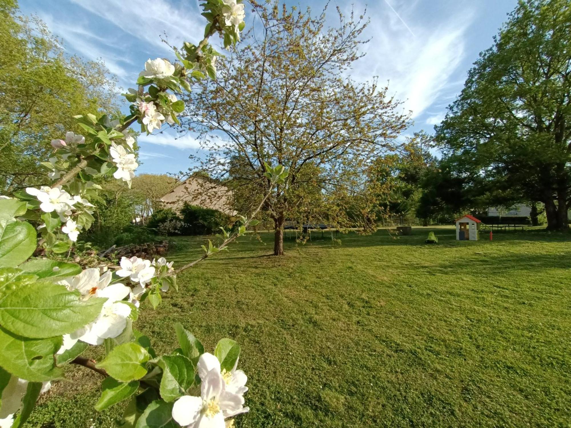Gite Climatise Villa Esperanza 2 A 5 Personnes Valençay Buitenkant foto